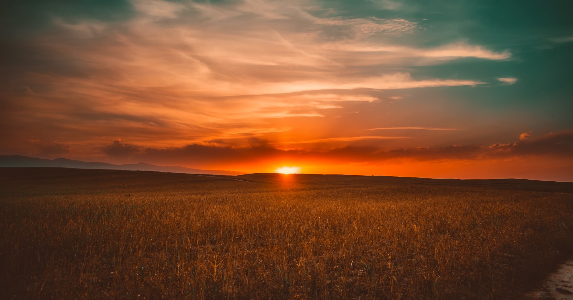 A photograph of a sunrise over a field of grain.